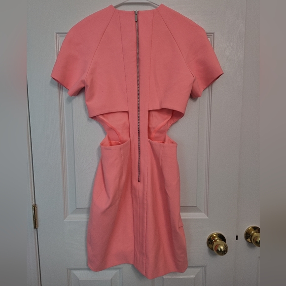 Elizabeth and James Pink Dress with Cutouts - Picture 4 of 5